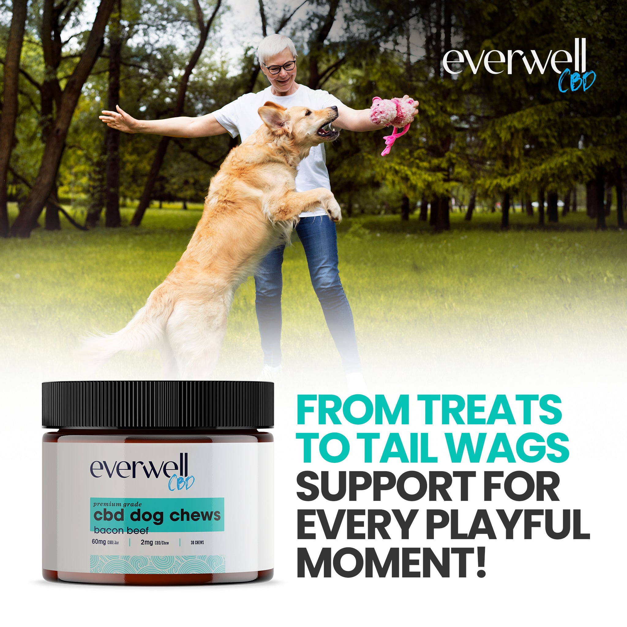 Broad Spectrum CBD Dog Treats - NO THC