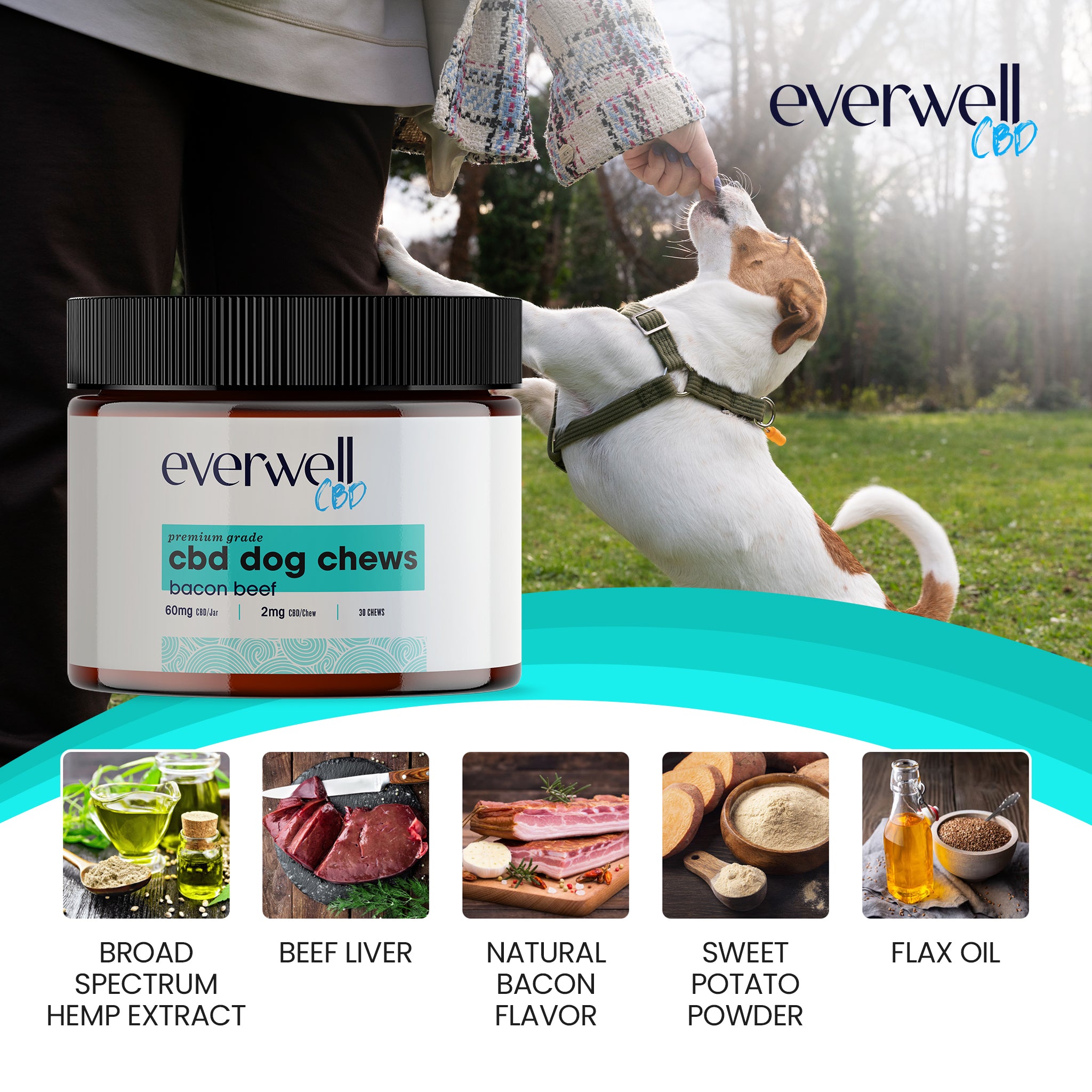 Broad Spectrum CBD Dog Treats - NO THC