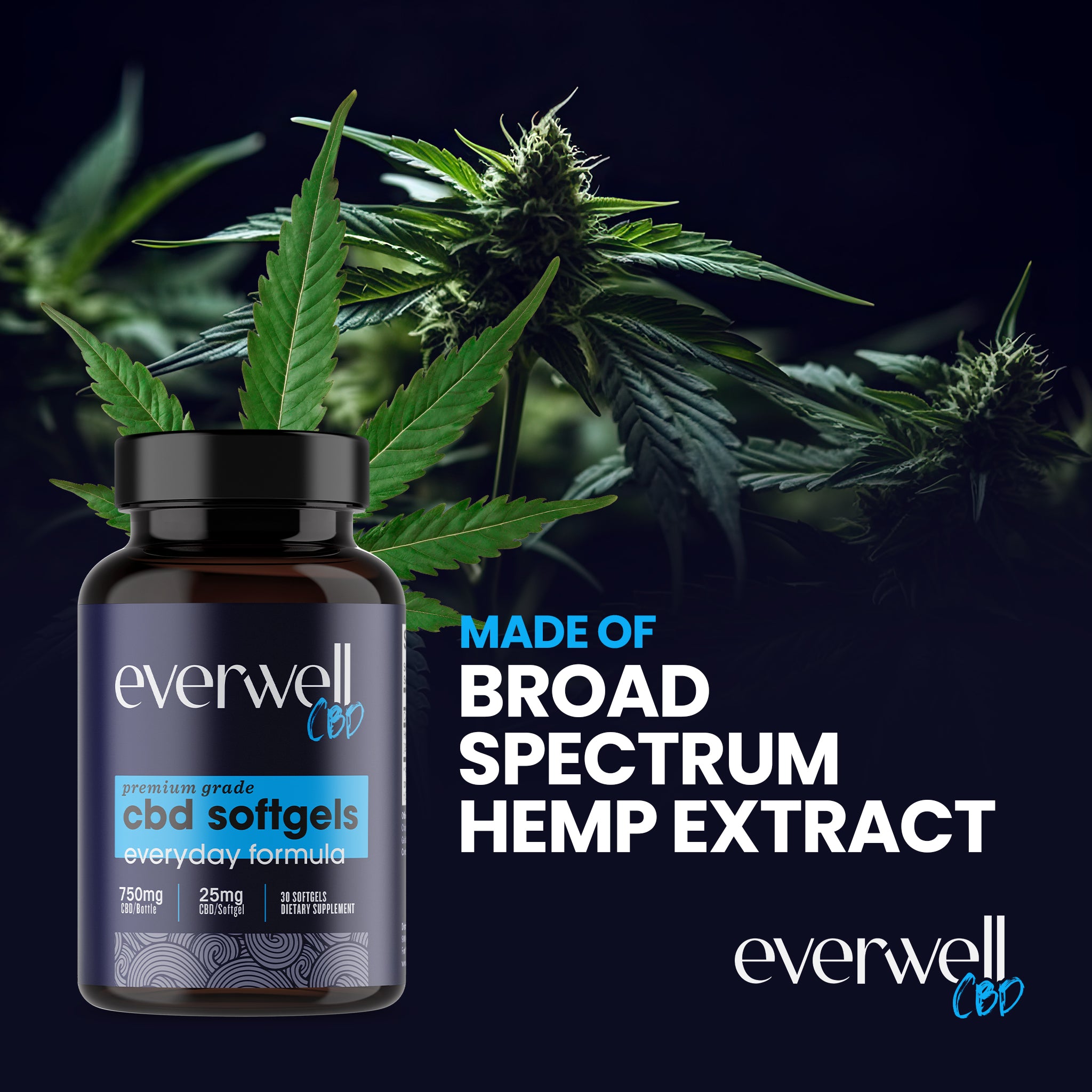 Broad Spectrum CBD Softgels - NO THC