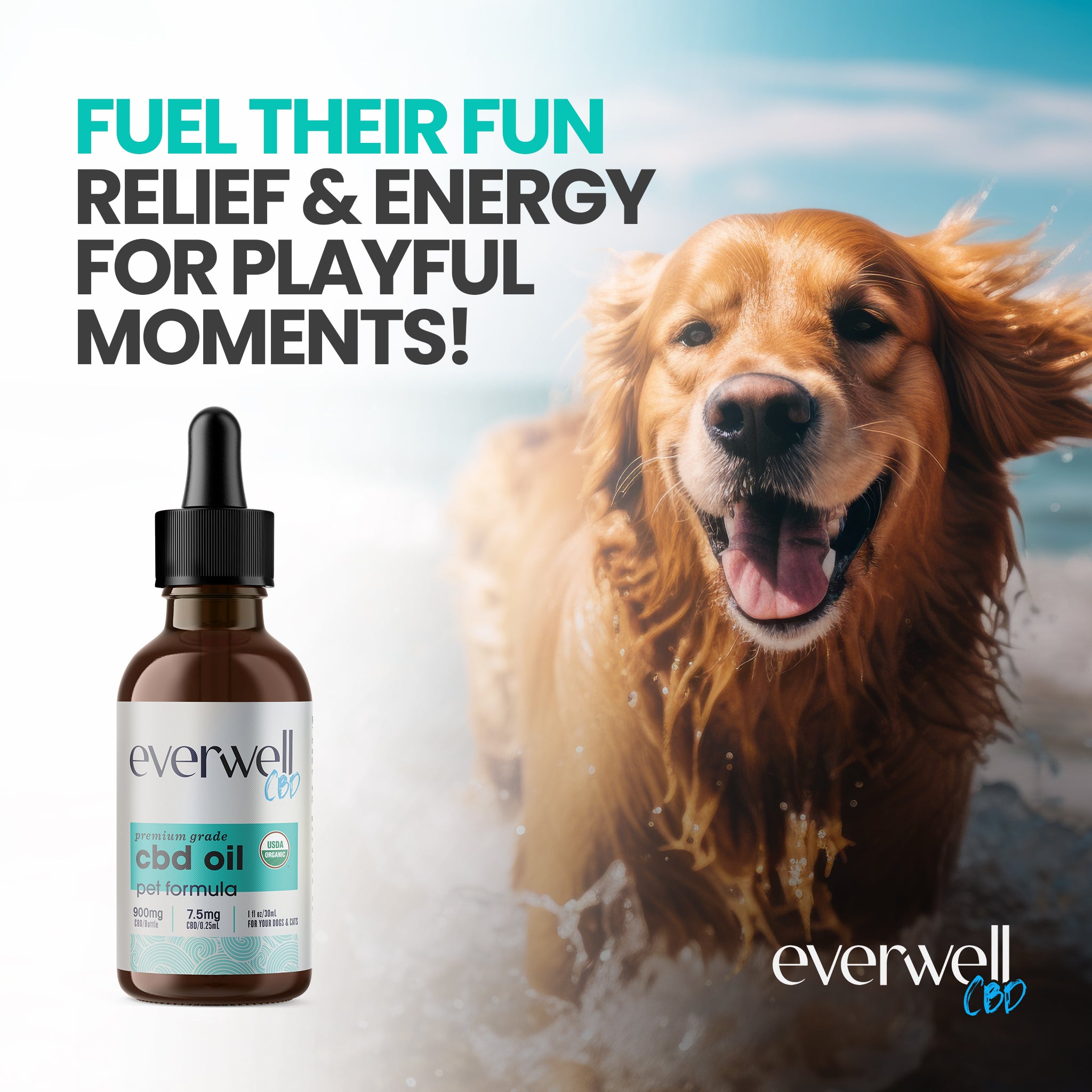 Broad Spectrum Organic CBD Oil for Pets - NO THC